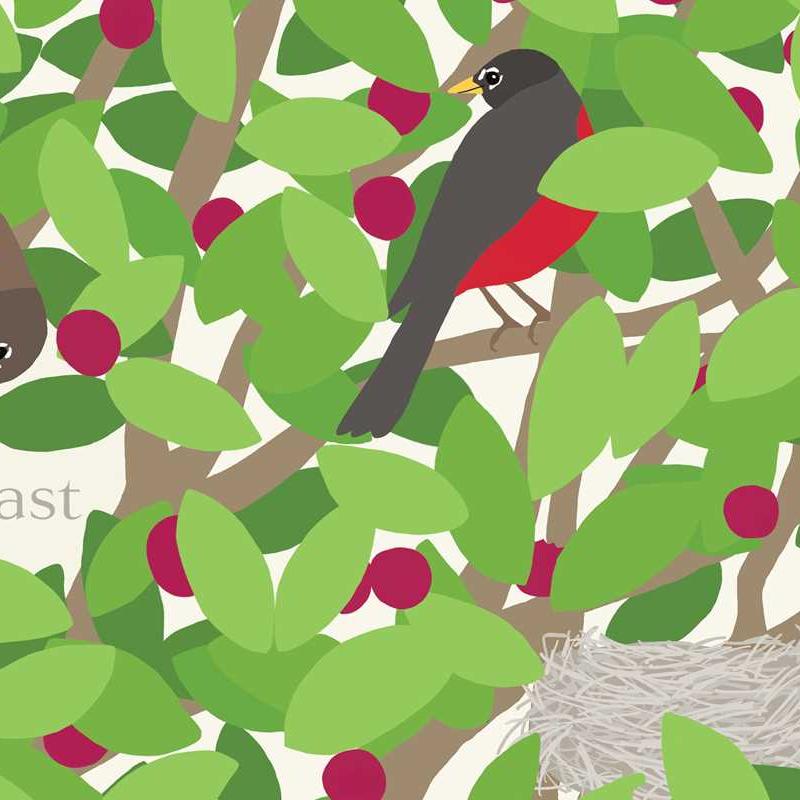 Nest Board Book