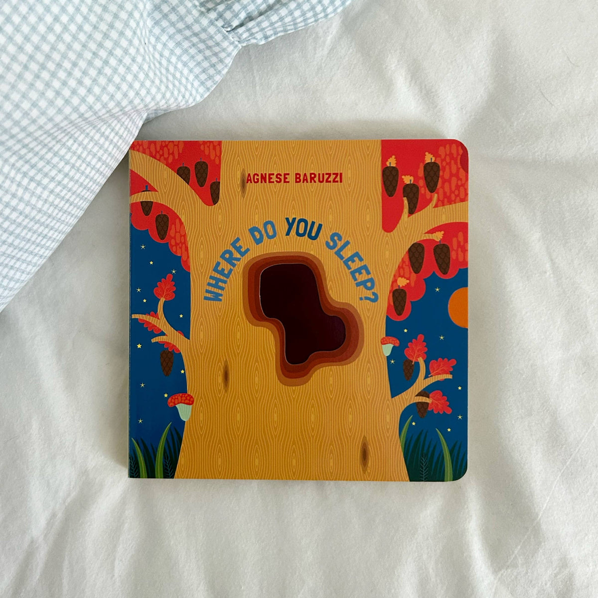 Where Do You Sleep Pull the Tab Book