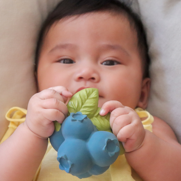 Jerry the Blueberry Organic Teether