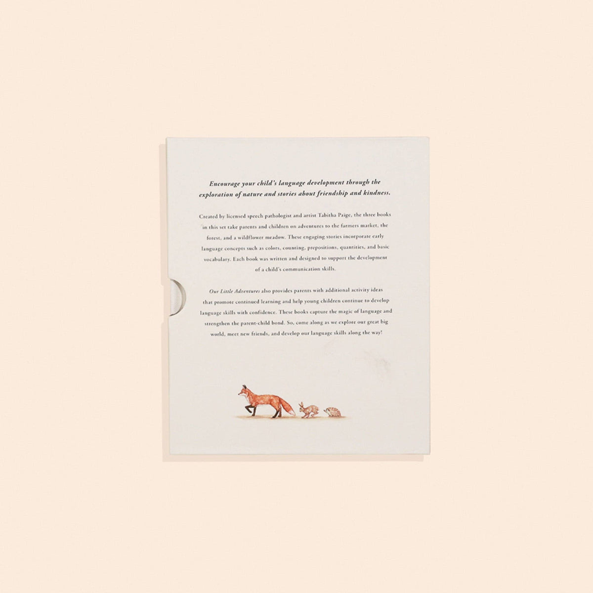 Our Little Adventures Board Book Set - Baby Dill