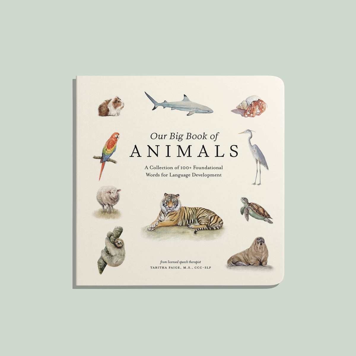 Paige Tate & Co. - Our Big Book of Animals (Baby Board Book) - Baby Dill