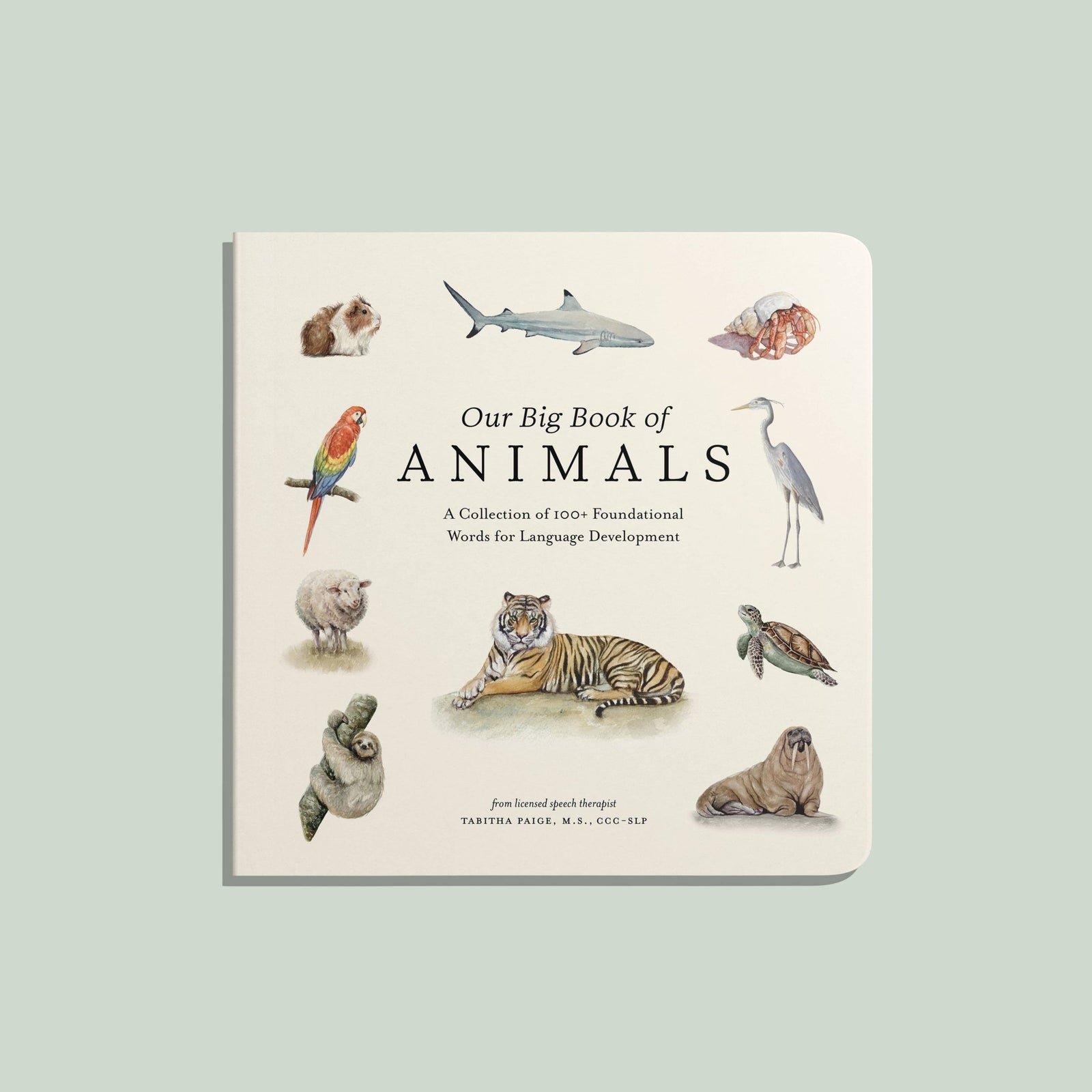 Paige Tate & Co. - Our Big Book of Animals (Baby Board Book) - Baby Dill