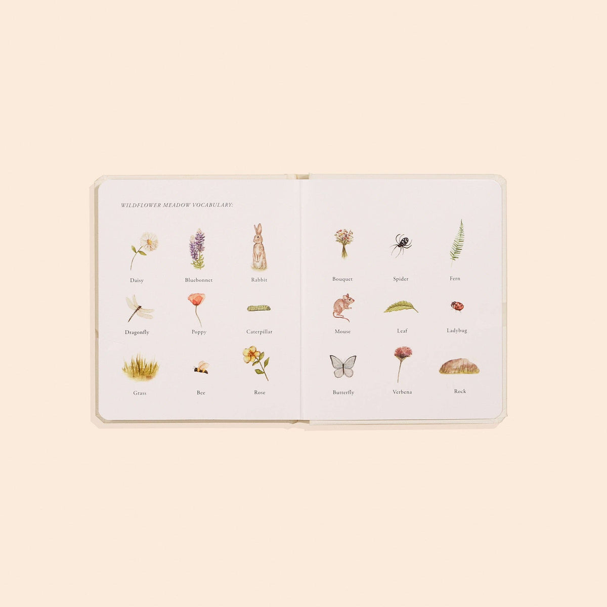Our Little Adventures Board Book Set - Baby Dill