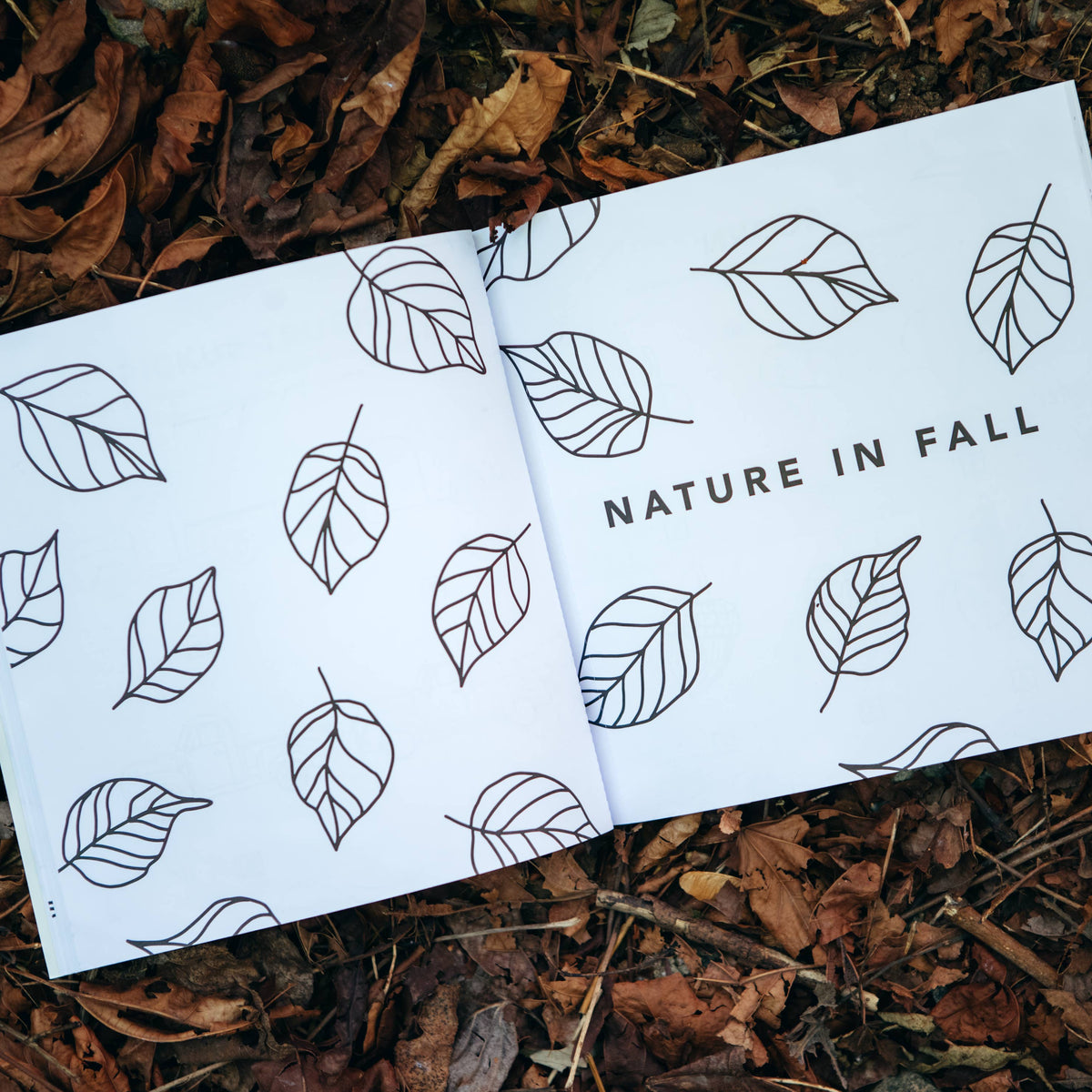 Fall Things: How to Draw Books for Kids with Pumpkins, Scarecrows, Turkeys and More