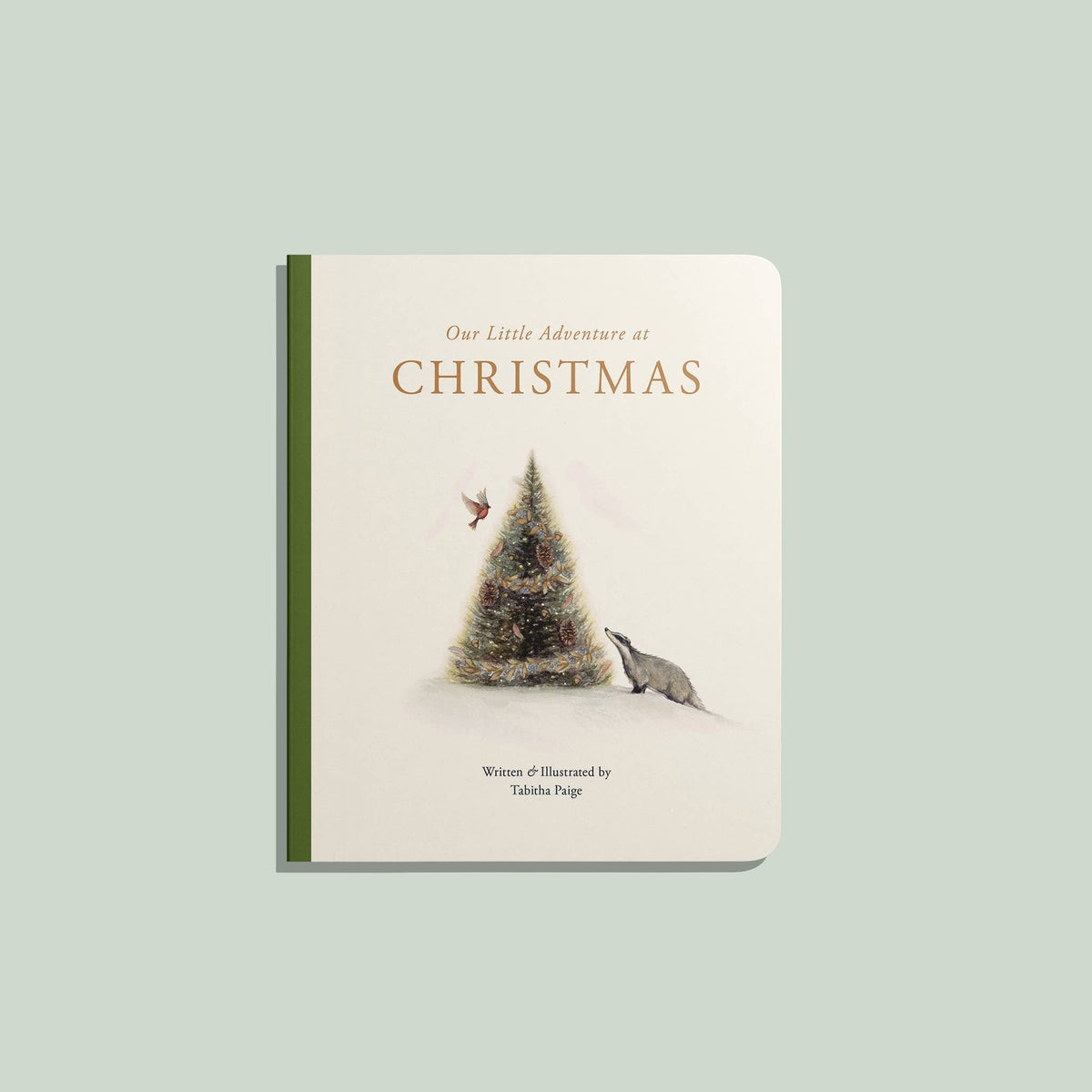 Our Little Adventure at Christmas Board Book - Baby Dill