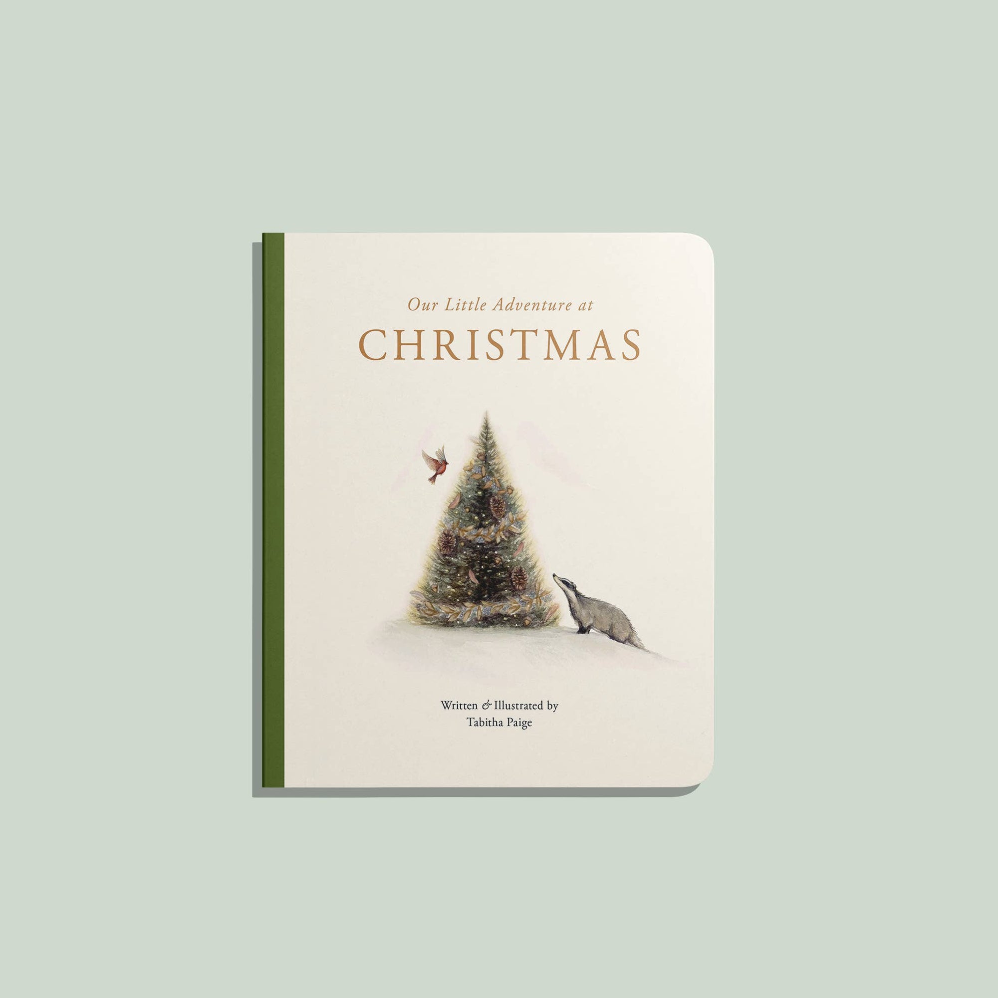Our Little Adventure at Christmas Board Book - Baby Dill