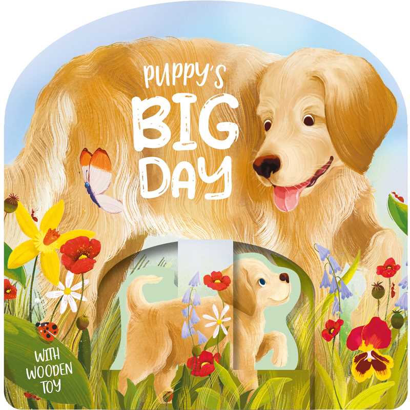 Puppy's Big Day Board Book