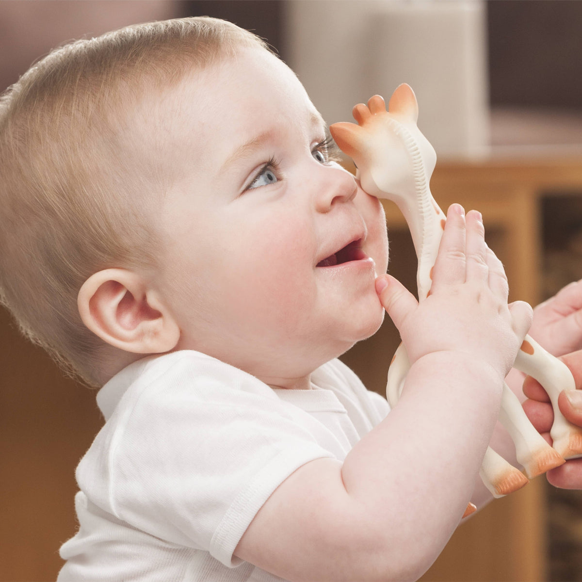 Sophie La Girafe/Giraffe Teether