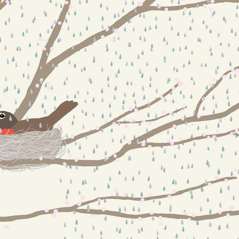 Nest Board Book