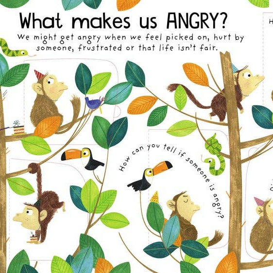 HarperCollins - First Questions and Answers: What are Feelings? - Baby Dill