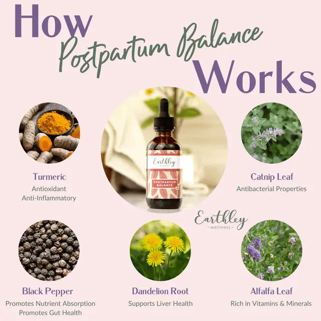 Postpartum Balance Tincture 2oz - Baby Dill