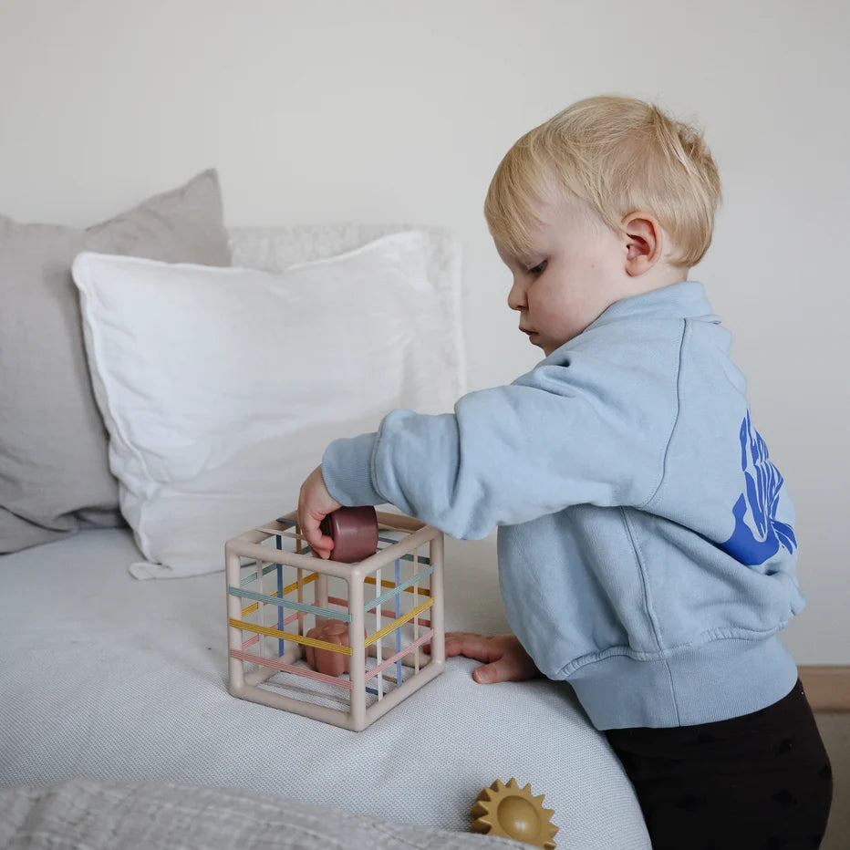 Elastic Shape Sorter Toy
